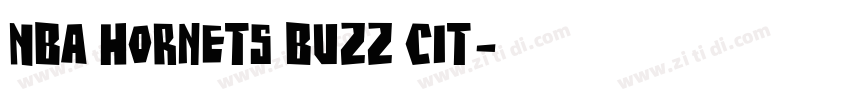 NBA Hornets Buzz Cit字体转换
